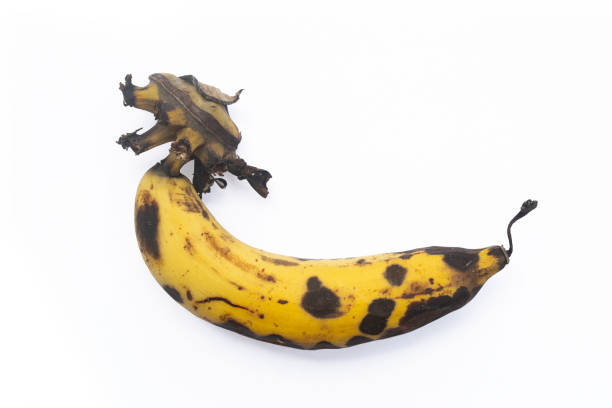istock Top view spoiled, rotten banana lies. 1607585550