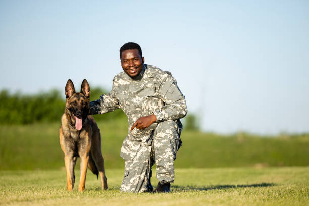 istock Soldier an military working dog training together. 1607588947
