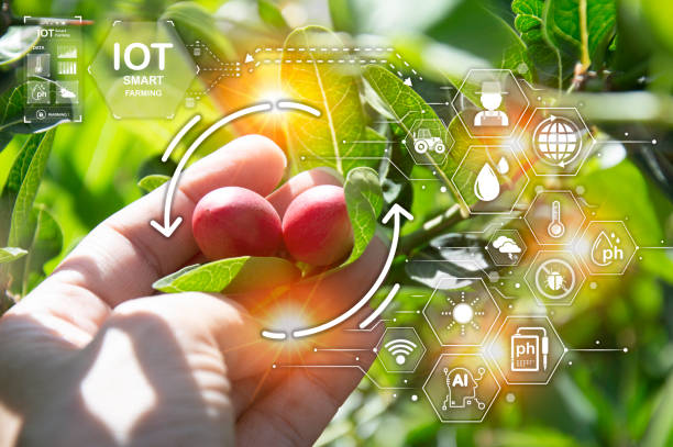 istock The concept of using AI and smart farming. 1607630893
