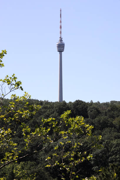 tv tower in stuttgart surrounded by forest stock photo