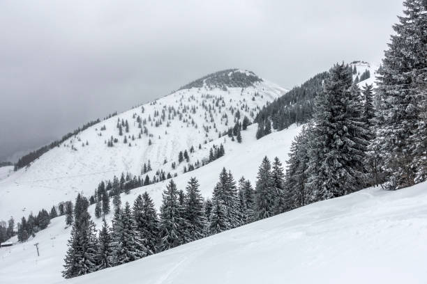 istock Winter in the Chiemgau Alps 1607659149