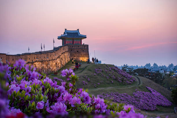 istock flowers and city wall 1607659848