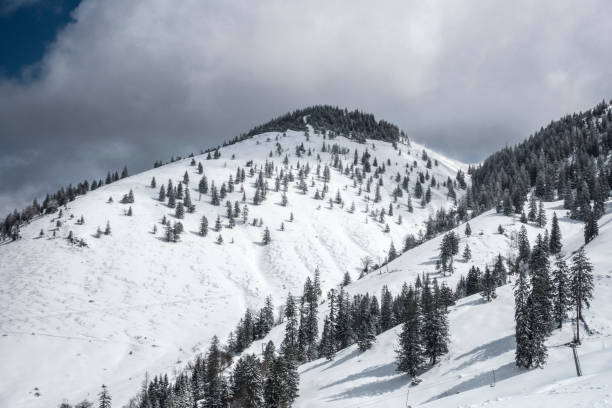 istock Winter in the Chiemgau Alps 1607661599