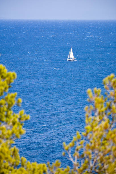 istock a white sailboat on the blue sea with green trees 1607662672