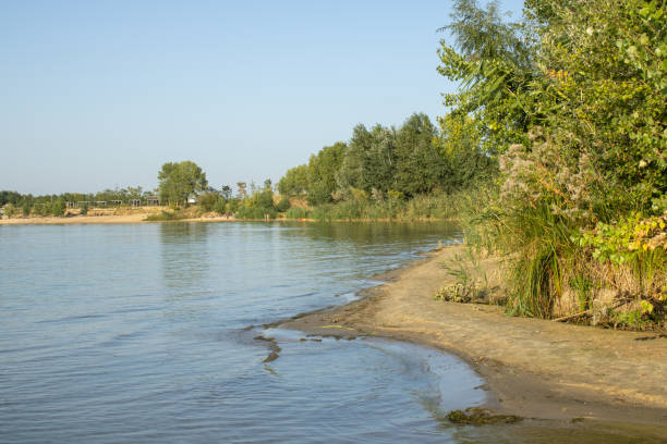 istock Summer green coast river view. River landscape. 1607679491