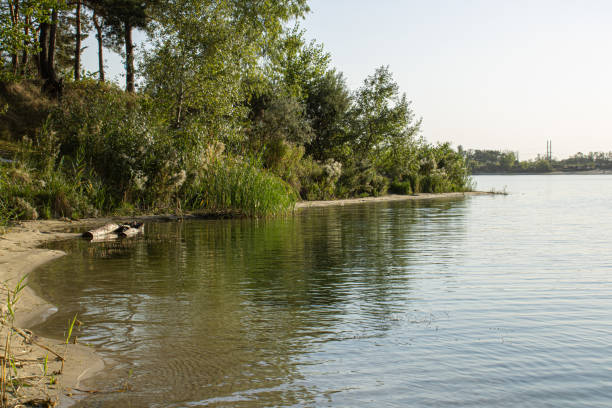 istock Summer green coast river view. River landscape. 1607679492