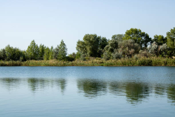 istock Summer green rural river view. River landscape. 1607680000