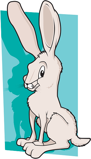 Cartoon Jack Rabit Jack Rabbit Stock Illustration - Download Image Now - Animal Body Part ...