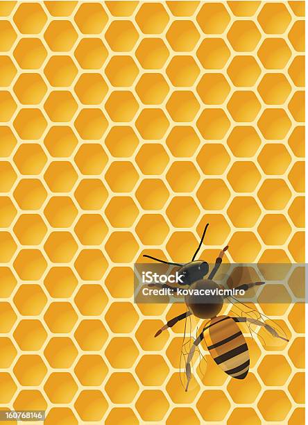 꿀벌 On 허니컴 0명에 대한 스톡 벡터 아트 및 기타 이미지 - 0명, 개념, 개념과 주제