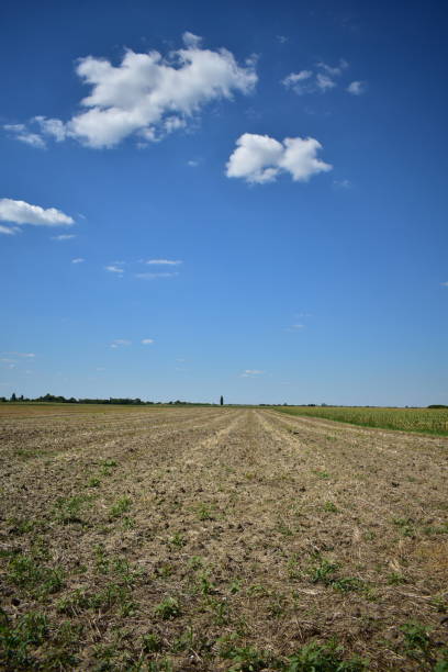 istock Field and blue sky with clouds. Landscape background with copy space. 1607701227
