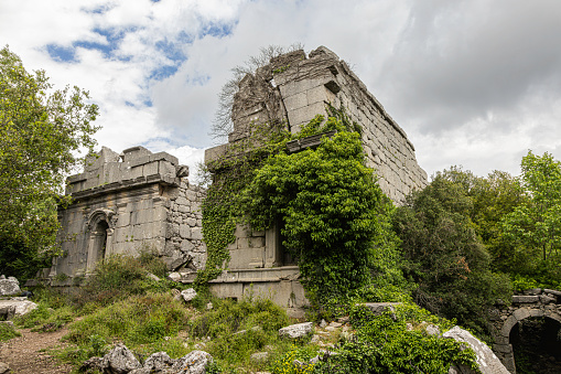 The buildings of a gymnasium and bath are among the most impressive in Termessos. Much is overgrown, but the front has been cleared and is architecturally interesting. Antalya, Turkey.