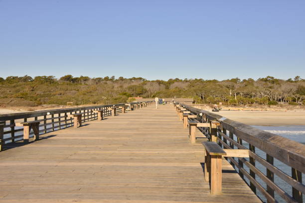 istock Clear Blue Sky And Trees Against Pier 1607733969