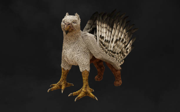 a pose of fantasy griffin. - griffon vulture imagens e fotografias de stock