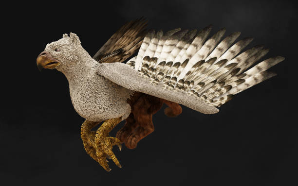 istock a pose of fantasy griffin. 1607752152