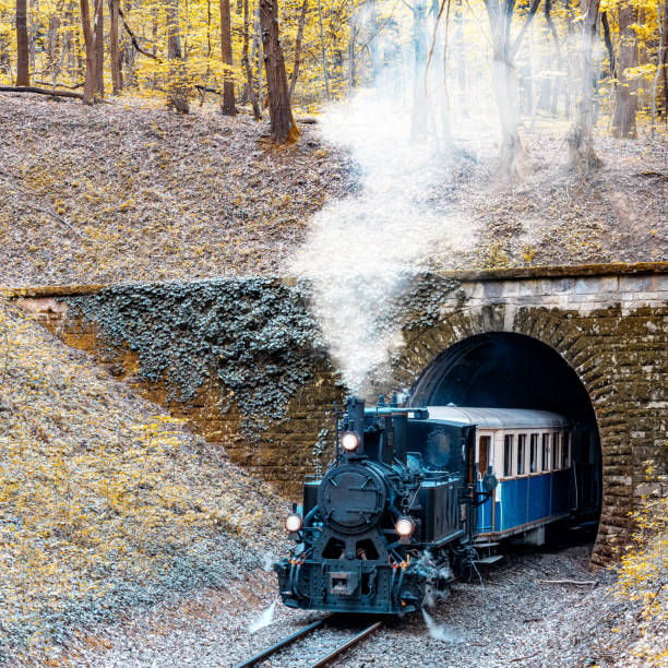istock Narrow Gauge Steam Train Appears from a Tunnel, Budapest, Hungary. 1607765375
