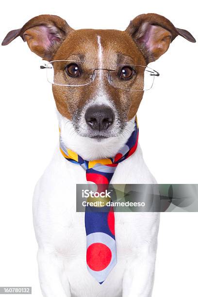 Office Dog Stock Photo - Download Image Now - Business, Corporate Business, Cute