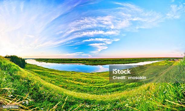 Sommerlandschaft Stockfoto und mehr Bilder von Abenddämmerung - Abenddämmerung, Blau, Blume