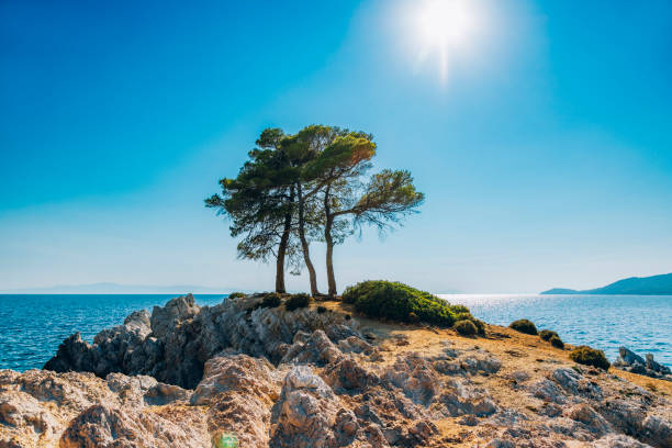 Sunny seaside landscape over blue sky in Foca, Izmir, Aegean Turkey