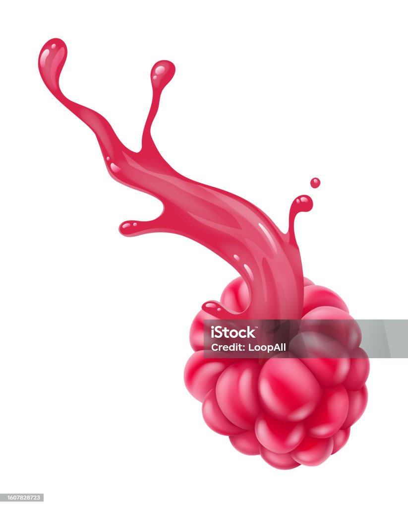 Raspberry Fruit With Juice Splash Vector Stock Illustration - Download ...