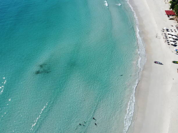 istock Perhentian Island view from top during day time 1607837518