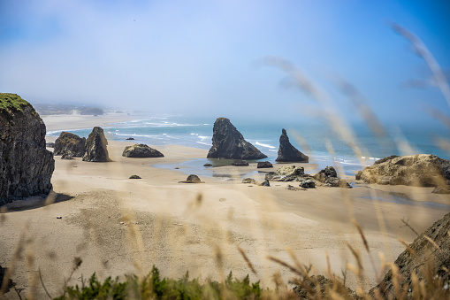 Rocky Beach Sunny Day at Face Rock State Scenic Viewpoint in Bandon, Oregon.