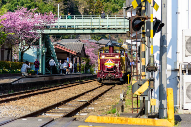 watarase keikoku eisenbahn im frühling mit rosa und roten kirschblütenbäumen, die entlang der bahngleise blühen. - open country stock-fotos und bilder