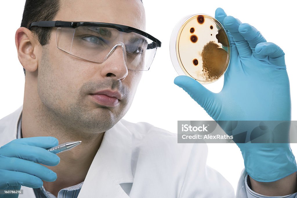 Scienziato osservando Piastra petri presso il laboratorio - Foto stock royalty-free di Adulto