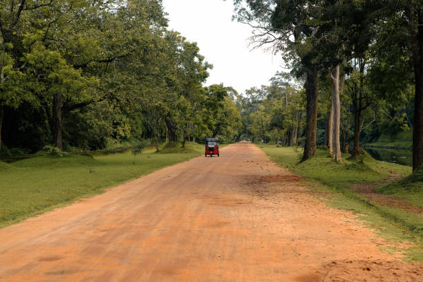 istock Ancient Sigiriya Garden's pathway in Sri Lanka 1607864386