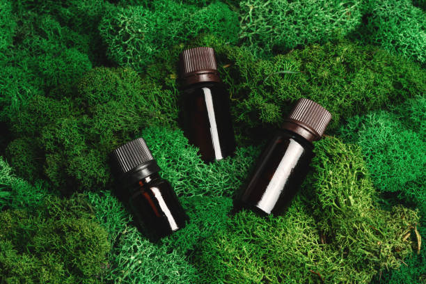istock Vape smoking liquid bottles on moss background 1607866981