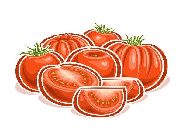ilustrações, clipart, desenhos animados e ícones de logótipo vector para tomates - heirloom tomato illustrations
