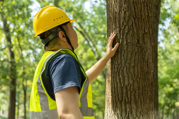 istock male engineer wering a helmet and safety vest taking note on tablet 1607896527