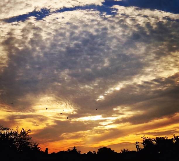 istock Vaporous clouds and birds in flight at sunset 1607905065