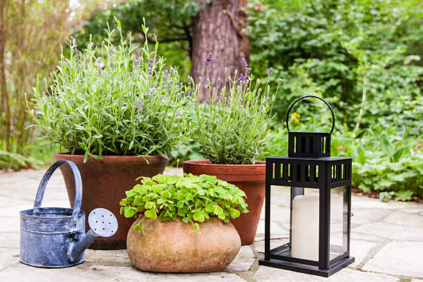 istock Still life in a garden 160790726