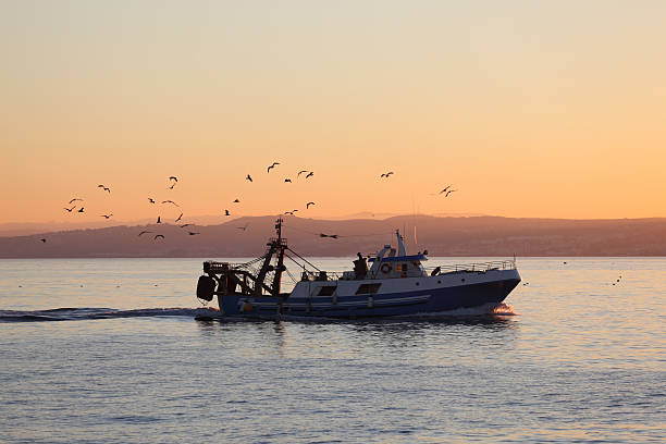 istock Fishing boat coming back home 160792796