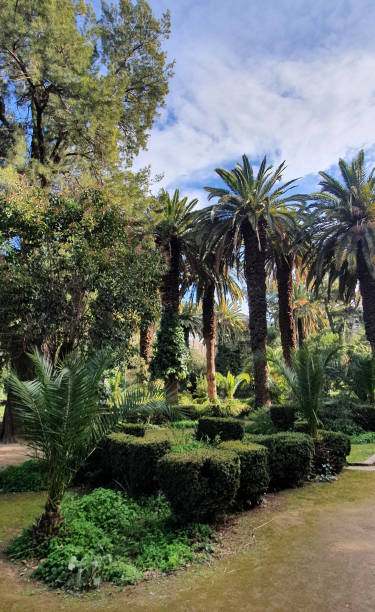 istock Beautiful view of urban park 1607947210