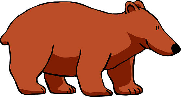 Bear vector art illustration