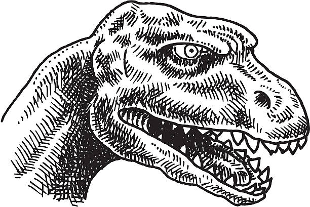 Dinosaur head vector art illustration