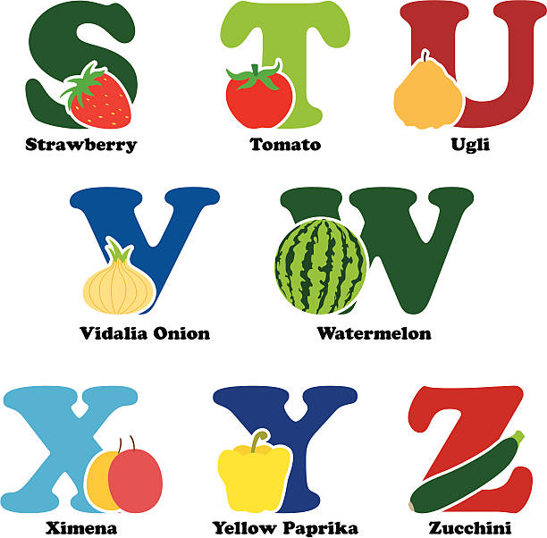 Fruit and vegetable alphabet A vector illustration of fruit and vegetables in alphabetical order from S to Z vidalia onion stock illustrations