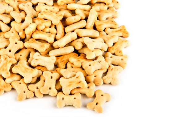 istock Dog biscuits, a treat isolated on a white. Free space for text. 1607968463