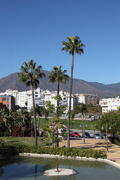 istock Palm trees in Estepona, Spain 160800612