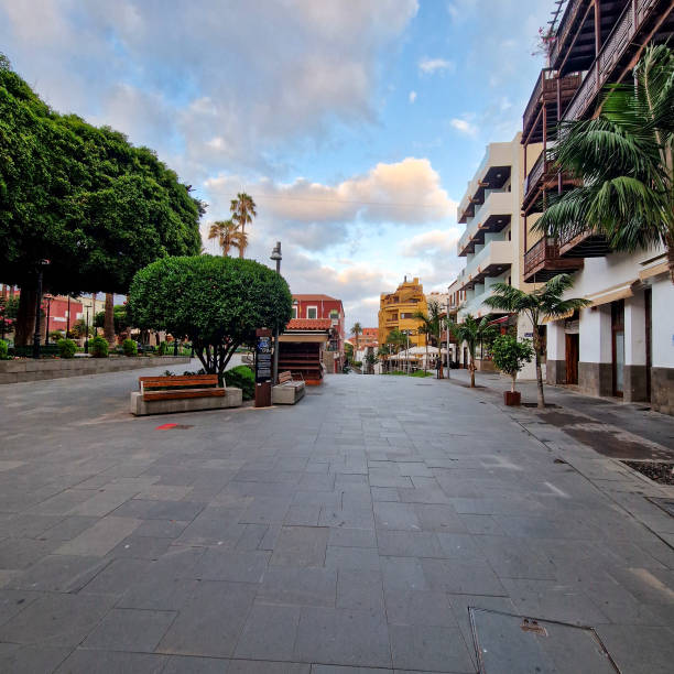 istock Morning Glow over Puerto de la Cruz 1608026552