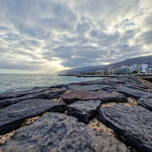 The tidal zones are very important areas for the oceans because its shifts between water and dry gives room for many different lifeforms - from fish to crabs and snails which prosper from the algae and seaweeds - the picture is taken on the Canary Island Lanzarote