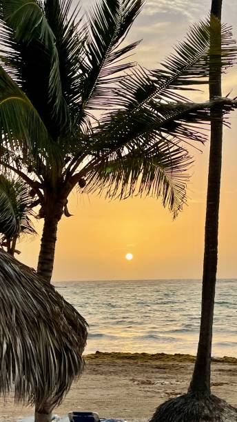 istock Dominican Republic 1608040900