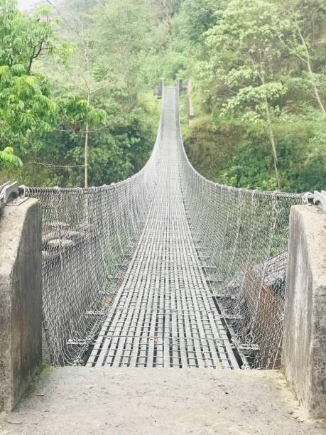 istock Suspension bridge in the forest 1608041100