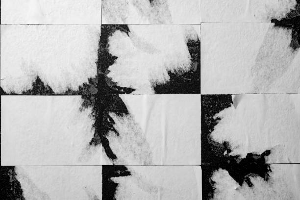 Detail of plant/flower captured in summer on black and white film 35 film by an old-fashioned analogue film camera with a prime 105 mm f/2.8 macro lens. The granularity in the image is real film grain (due to the presence of small particles of a metallic silver on the negative). Shallow depth of field. Copy space. The image is part of a series of similar images captured on the same 35 mm film.