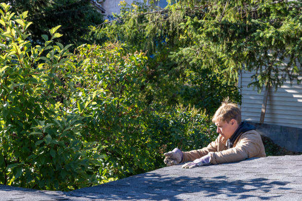 istock Young man cleans roof gutter, amongst leafy foliage 1608065560