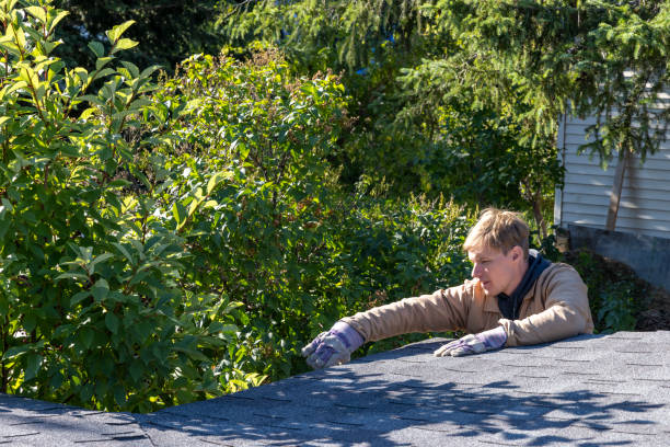 istock Young man cleans roof gutter, amongst leafy foliage 1608066102