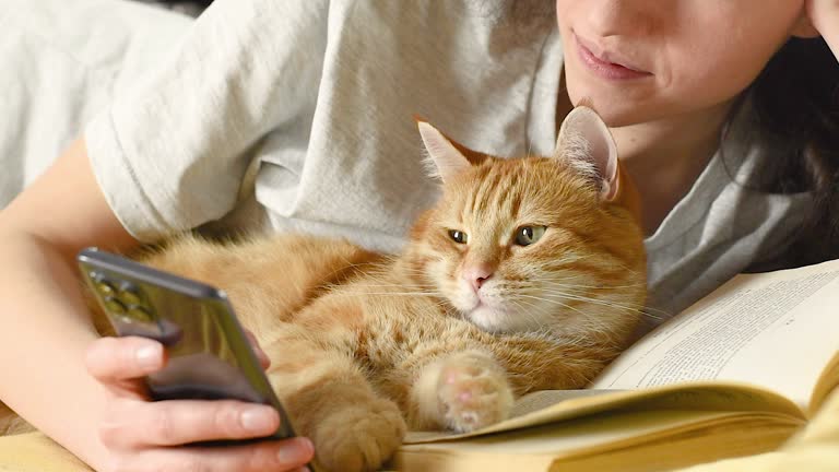 a woman with a cat lie on the bed