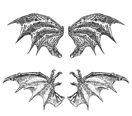 Set of hand drawn vintage etched woodcut fallen angel or vampire detailed wings. Dragon or gargoyle wings. Heraldic wings for tattoo and mascot design. Isolated sketch collection. Vector.
