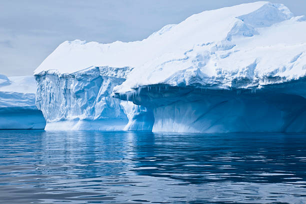 iceberg paradise bay antarctique - antarctique photos et images de collection